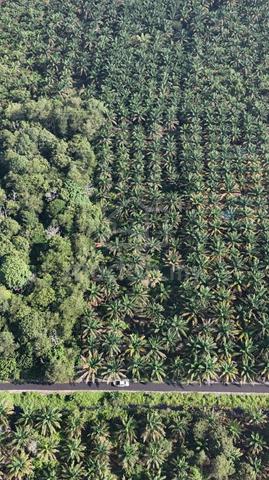 TANAH KEBUN 2 Ekar di Kg Bentong Dalam, Kluang [PALING MURAH] 2