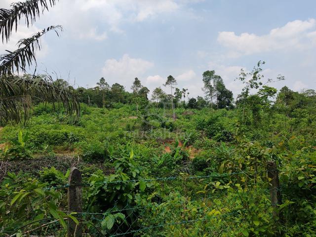 Pajam 1