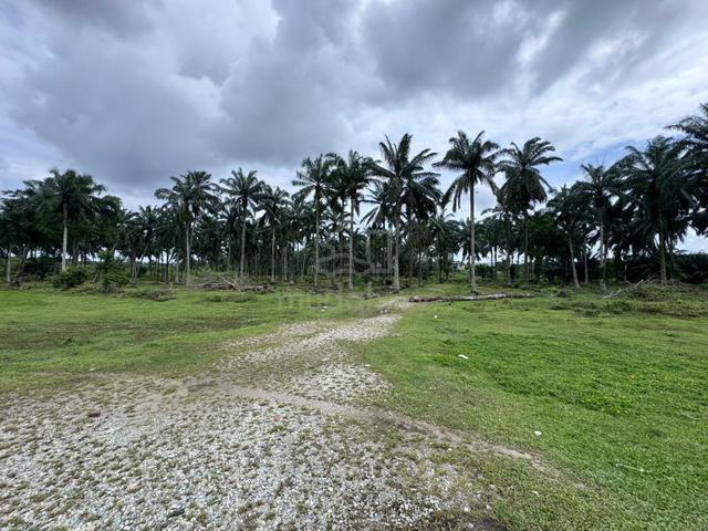Kulai Saleng Beside Railway 1