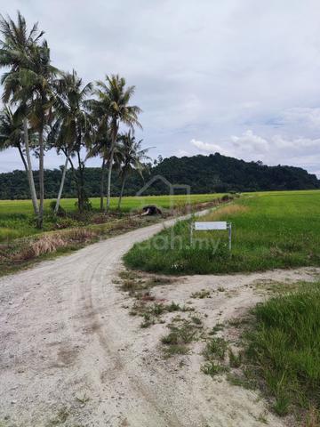 Sebidang tanah untuk dijual di kota kuala mudah kedah 1