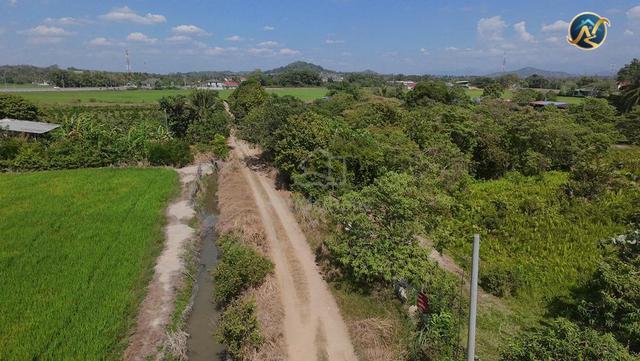 13.43 Acres Freehold Agricultural Land For Sale - Bkt Mertajam Pg 1