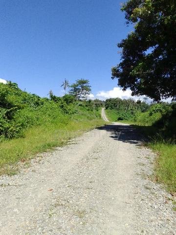 Agricultural Land For Sale Tanjung Emas Menumbuk Kuala Penyu 5.60 Acre 1
