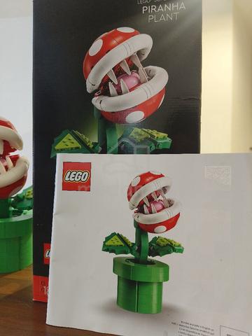 Carousel Image Selected