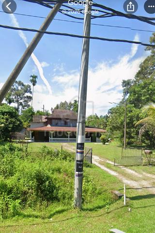 Oil Palm Tree Two Land Side by Side For Sales 5