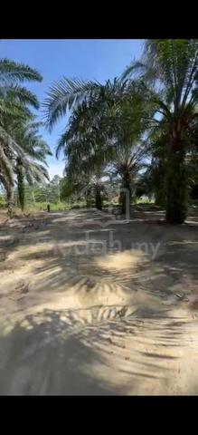 Pontian premium Land 1