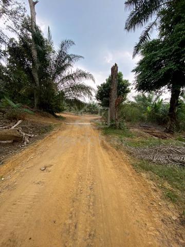 Agricultural land at Sengkang Kulai 1