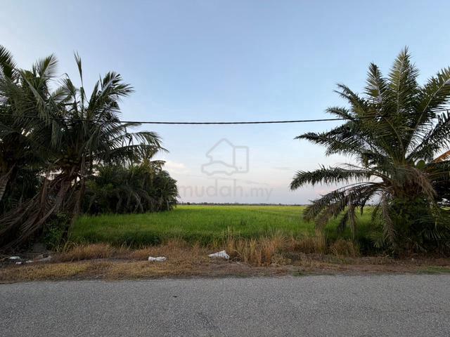 GERAN INDIVIDU | 2.83 ekar Tanah Sawah Parit 12 Sungai Besar For Sale 1