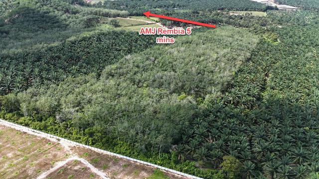 Rembia Freehold Rubber Tree Platation Land, Below Value, Alor Gajah 1