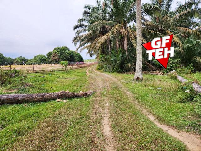 9.54 acre Agricultural land | Sungai Batu | Bandar Baharu | Kedah b 1