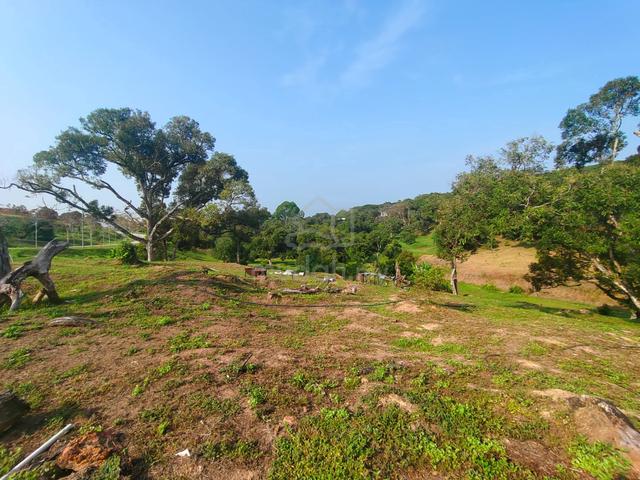 Planter's Haven Bungalow Land 1