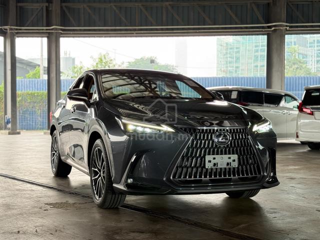 Lexus NX250 LUXURY Grey Color Rare Low Mileage - 1