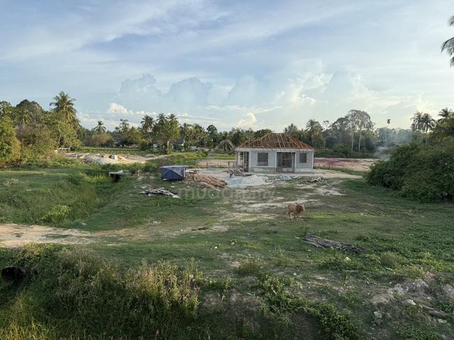 tanah bunut sarang burung 8000kps ingin dijual 1