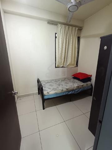 klts setapak 1