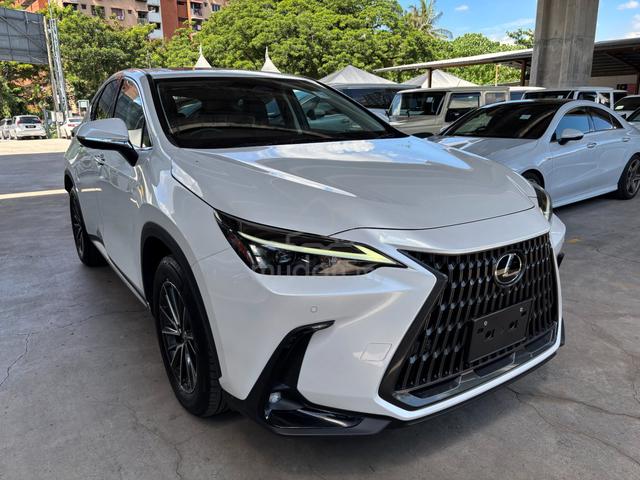 2023 Lexus NX 250 2.5 LUXURY (A) - 4