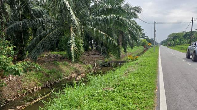 1.5 Ekar Tanah Pertanian Pulau Indah [Cash Term] 1