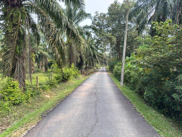 Freehold Agriculture Land For Sale At Tanjung Tualang,Batu Gajah,Perak 1