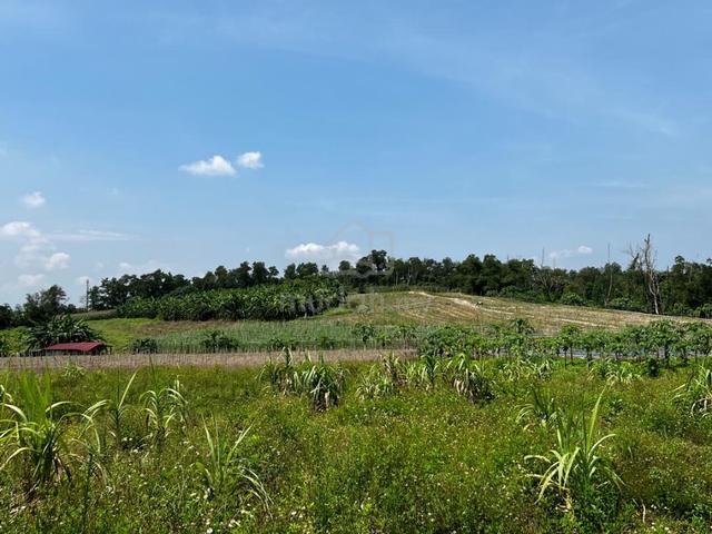 1.94 Ekar Tanah Pertanian Chepor Indah, Ipoh Perak 1