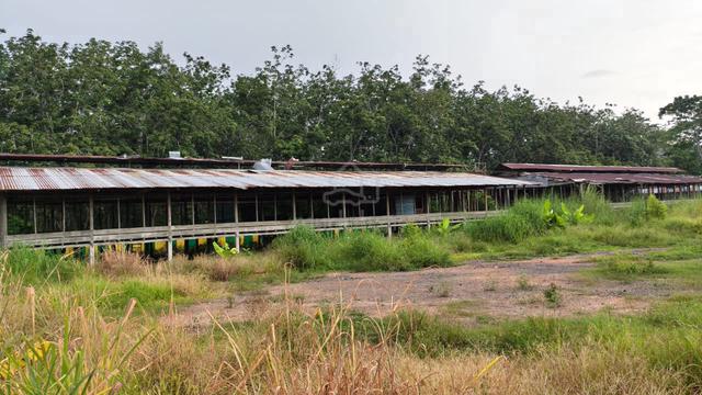 kandang ayam untuk dijual 1