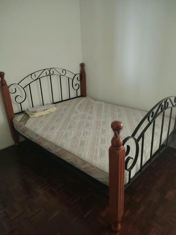 Greenlane Heights 1