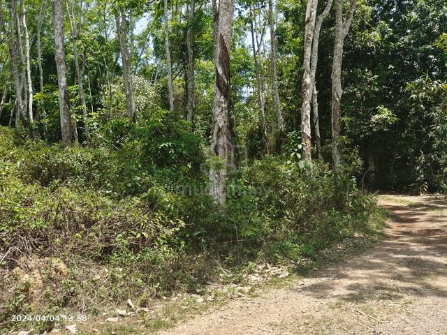 Agricultural Land for Sale, 6.44 Acre(s), Jitra, Kedah | Mudah.my