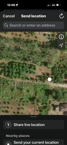 Kebun harumanis untuk Dijual 1