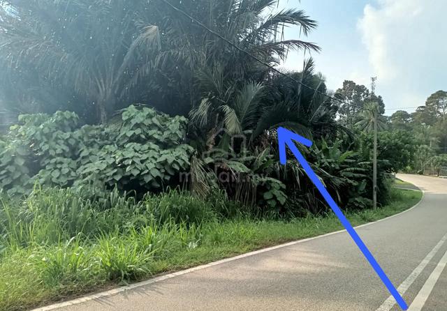 1.25 Ekar Tanah Kosong Kg Jabi Segamat Johor 1