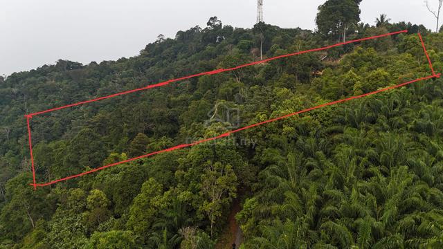 Tanah Bukit Sepetir Seri Menanti Kuala Pilah SIZE 2.6 ACRE 1