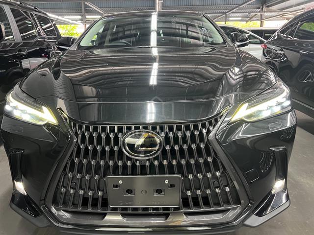 2023 Lexus NX 250 2.5 PREMIUM (A) 4 CAMERA BSM LTR - 2