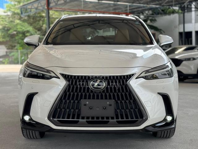 2024 Lexus NX250 2.5 VERSION L PAN ROOF HUD DIM - 4