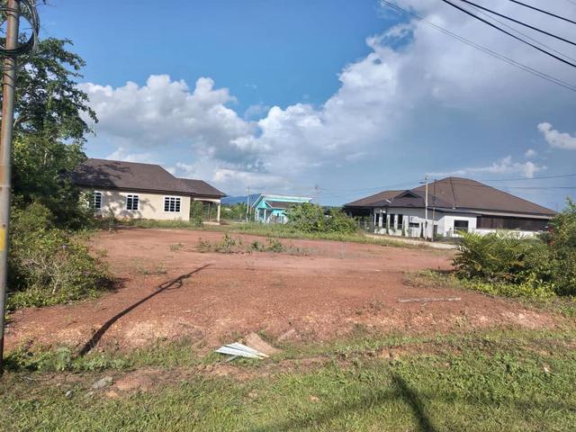 Tanah tepi jalan  3