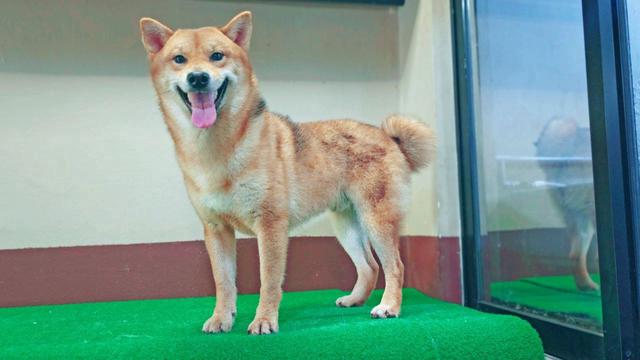 Carousel Image