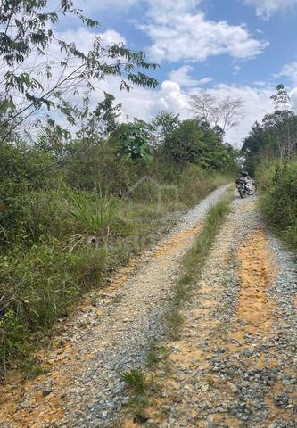 Durian Land at Manchis, Bentng, Pahang 1