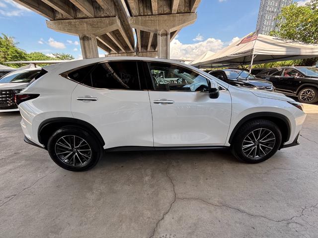 2023 Lexus NX 250 2.5 LUXURY (A) - 5
