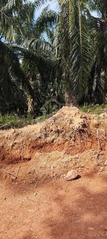 Tanah hak milik kekal di kupang baling kedah 1