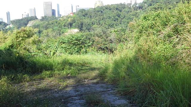 Quiet Yet Accessible Land in Sungai Penchala Near TTDI Kuala Lumpur 1