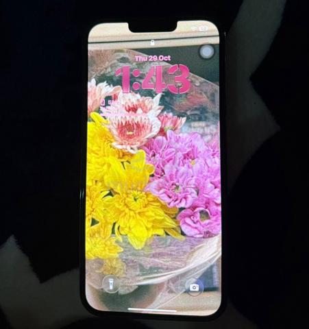 Iphone 13 Pro Max 256 GB - photo 2 of 4