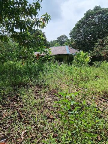 land for sale 1