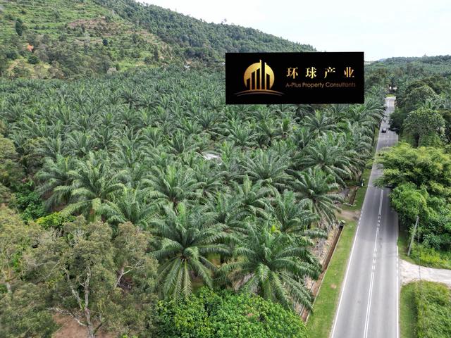 Sungai Lembu Agricultural Land | 12 Acres 1