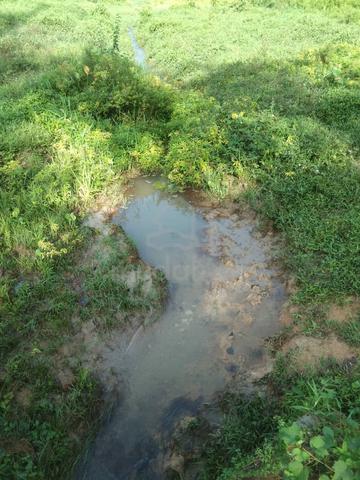 Tanah Murah di Keru Tampin Negeri Sembilan 1