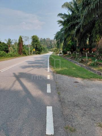 tanah sawet cantek 1