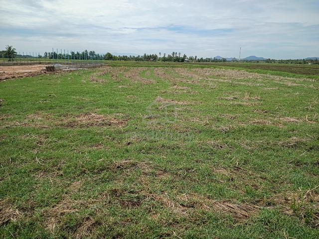 land for sale 1
