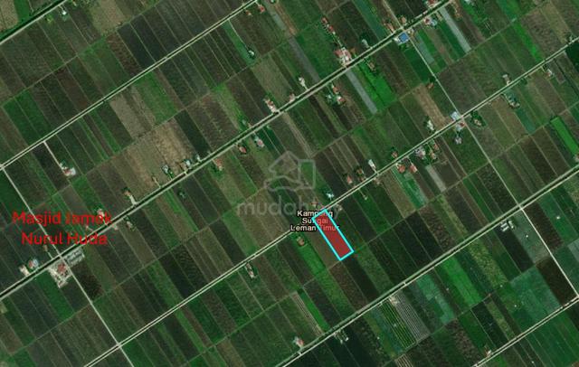 Tanah Sawah Dekat Pekan Sekinchan 1