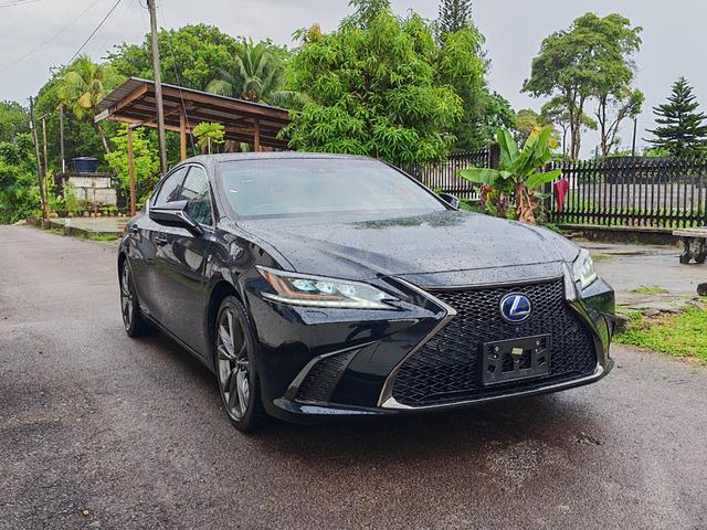 2021 Lexus ES300 2.5 h (HYBRID) FACELIFT (A) - 1