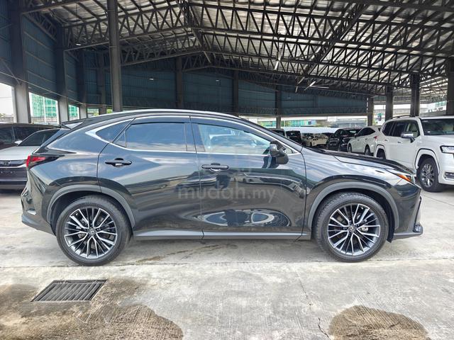 2023 Lexus NX 250 BASE P/Roof 4Cam BlackLeather PB - 5