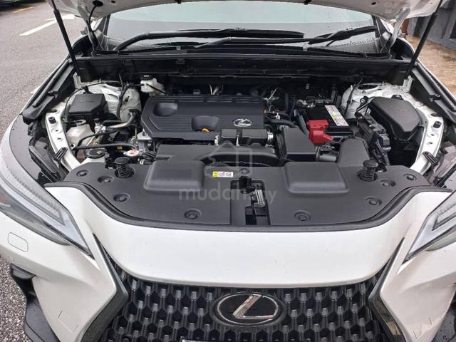 2023 2024 Lexus NX250 2.5 (A) LUXURY FSPT WRTY2029 - 4