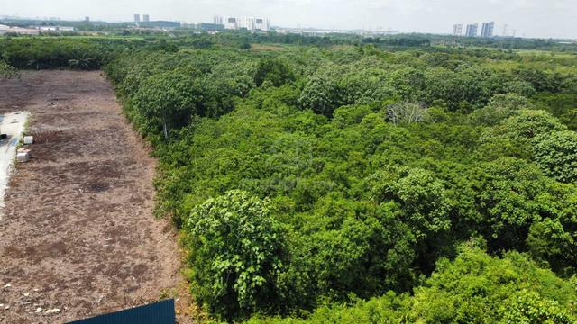 Sungai Besar (sabak bernam) agriculture land 1