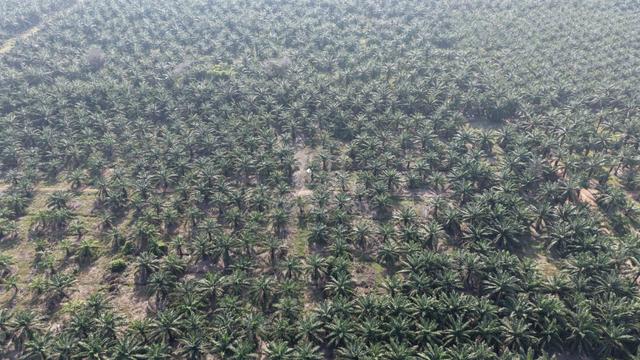 11 Acres Freehold Zone Industry Land Jeram Kapar 1