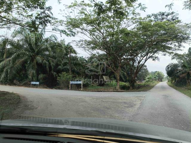 Tanah 3.87 ekar di Parit Suleiman Pontian 1