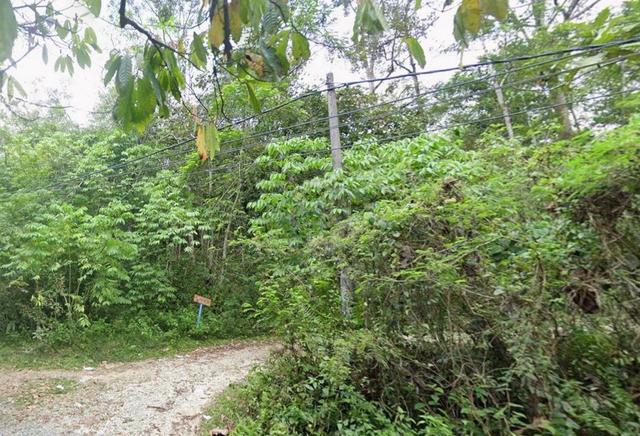 Freehold Malay Reserve Land – Ulu Cheringin Janda Baik 1