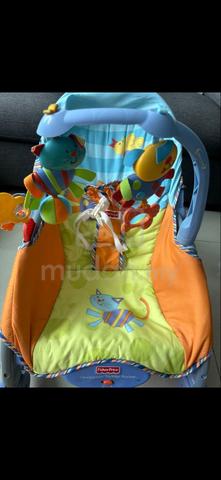 Carousel Image Selected
